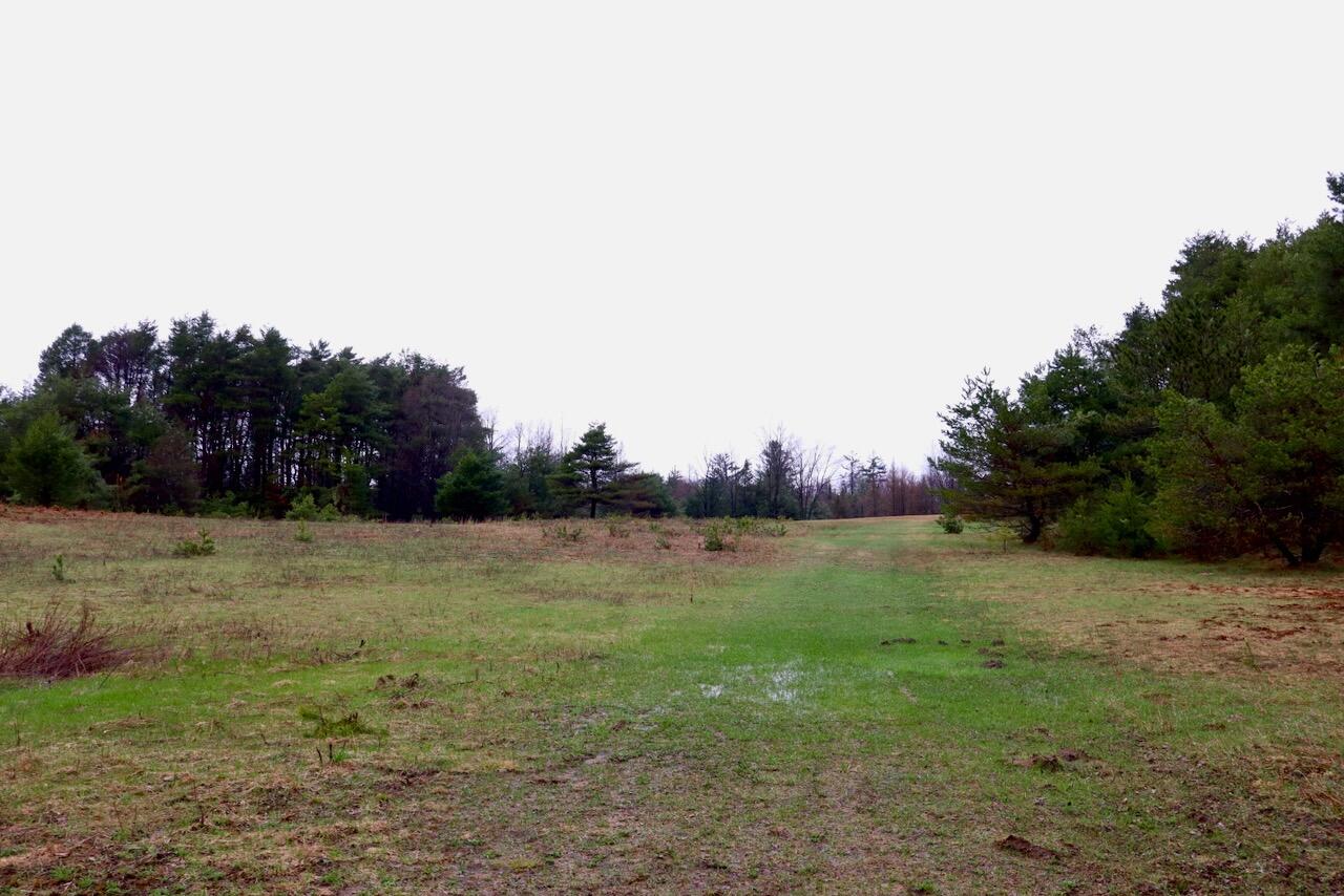 main property photo 86