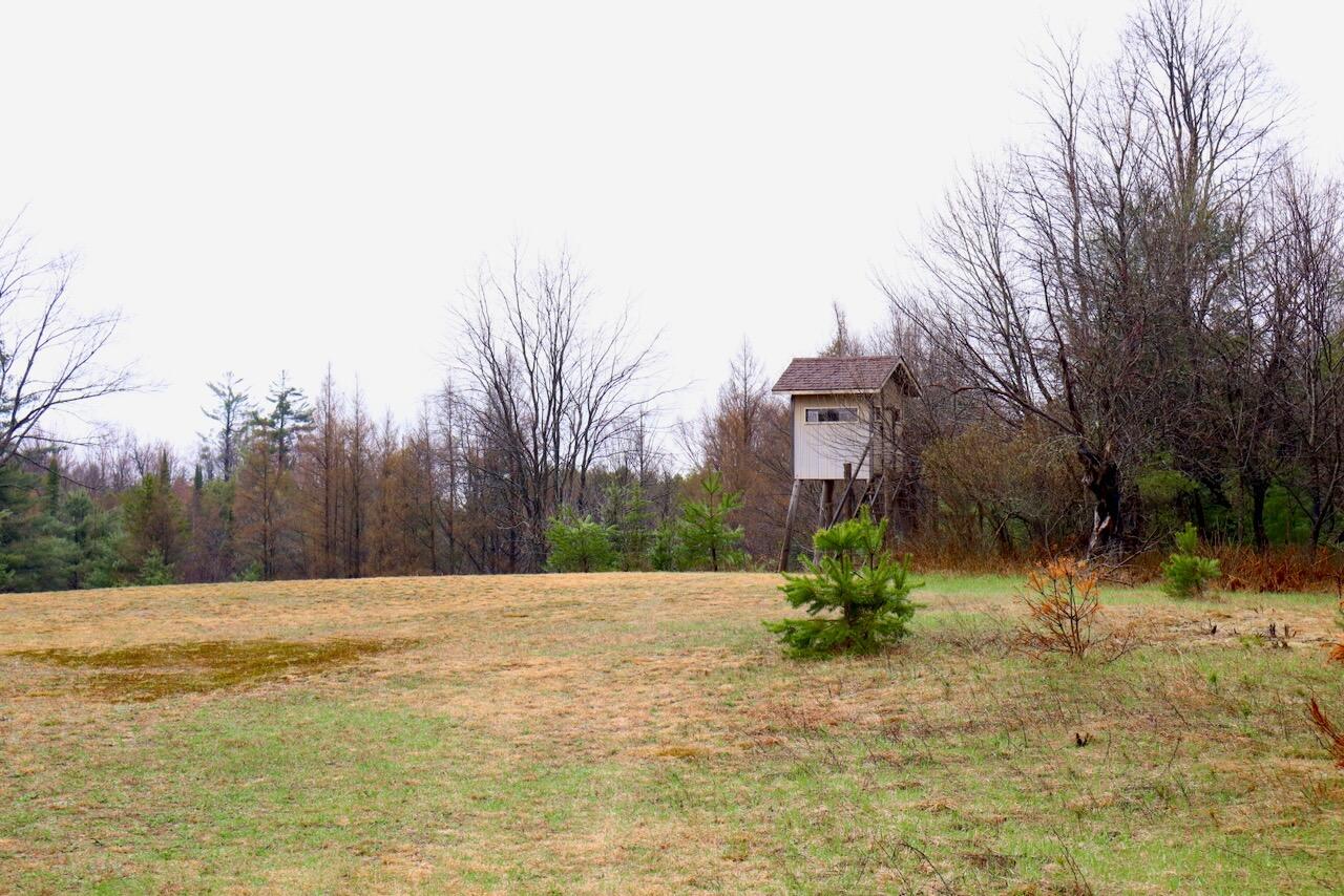 main property photo 87