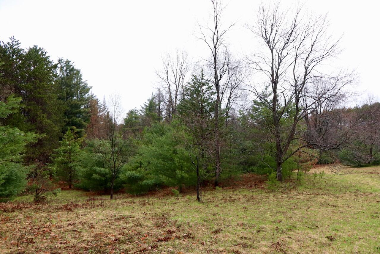 main property photo 88