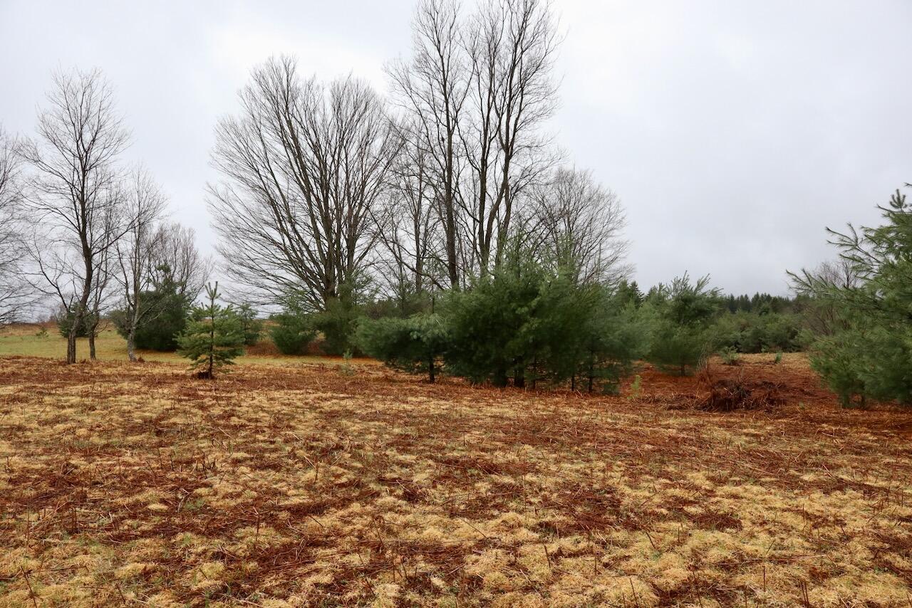 main property photo 89