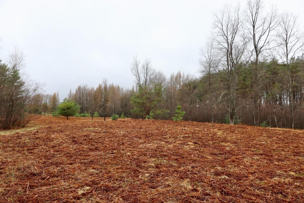 main property photo 90