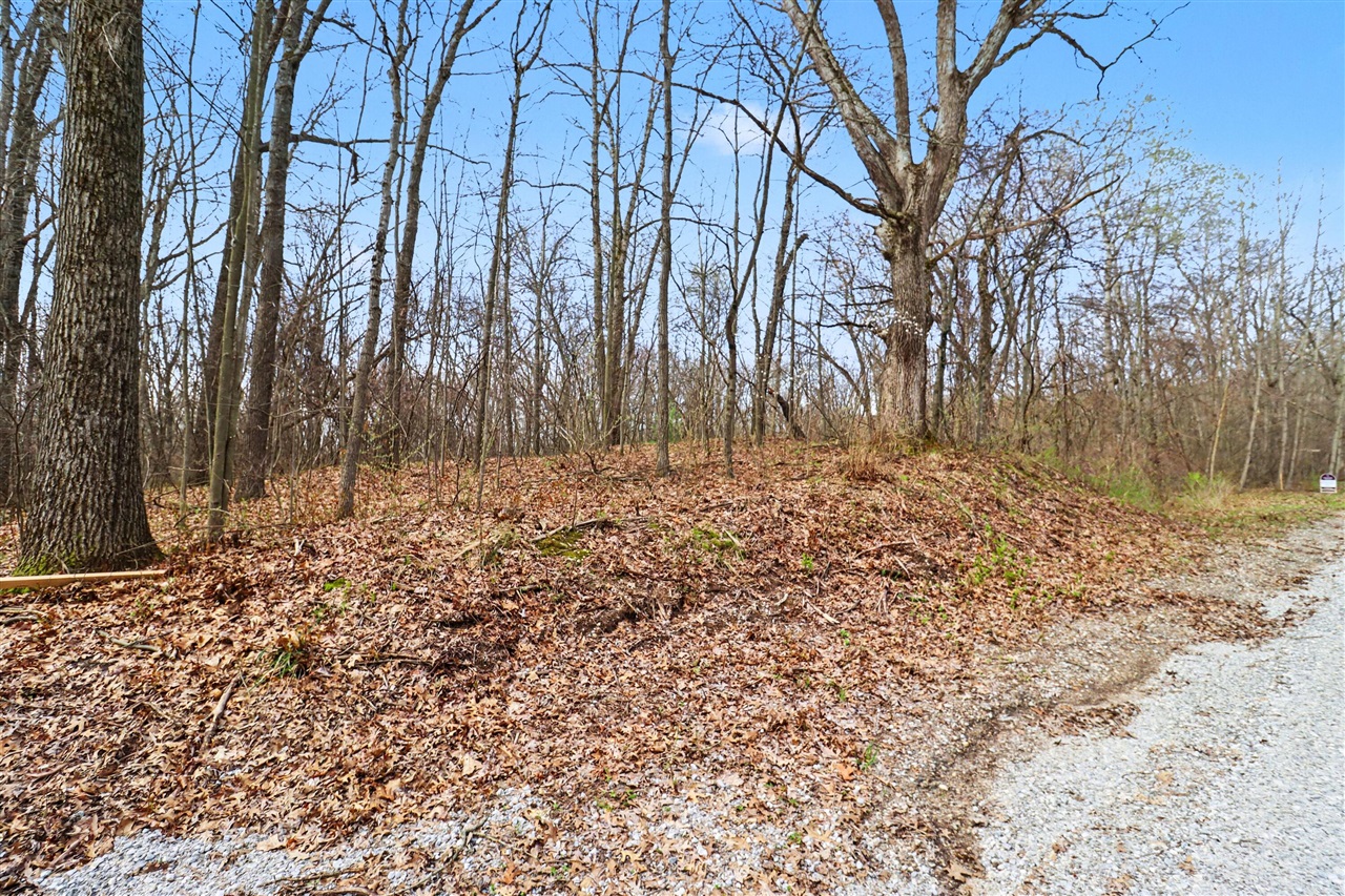 main property photo 6