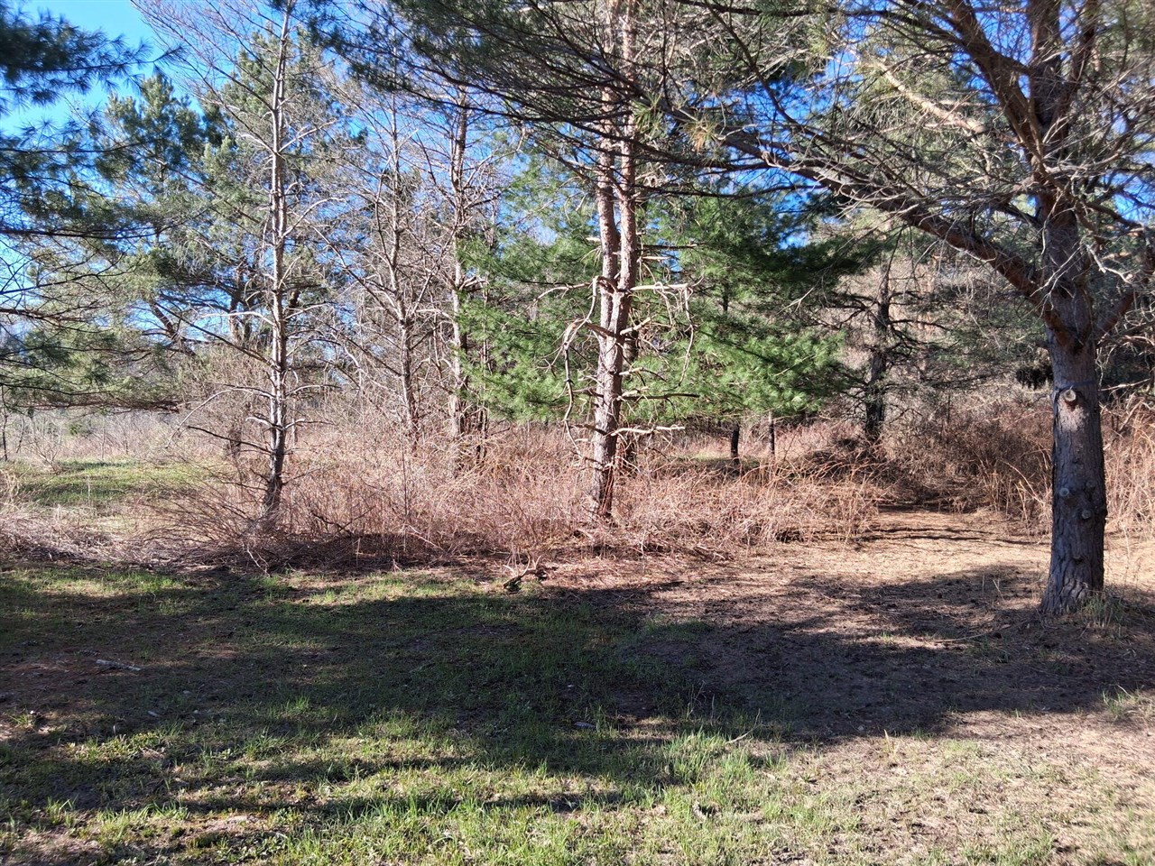 main property photo 11