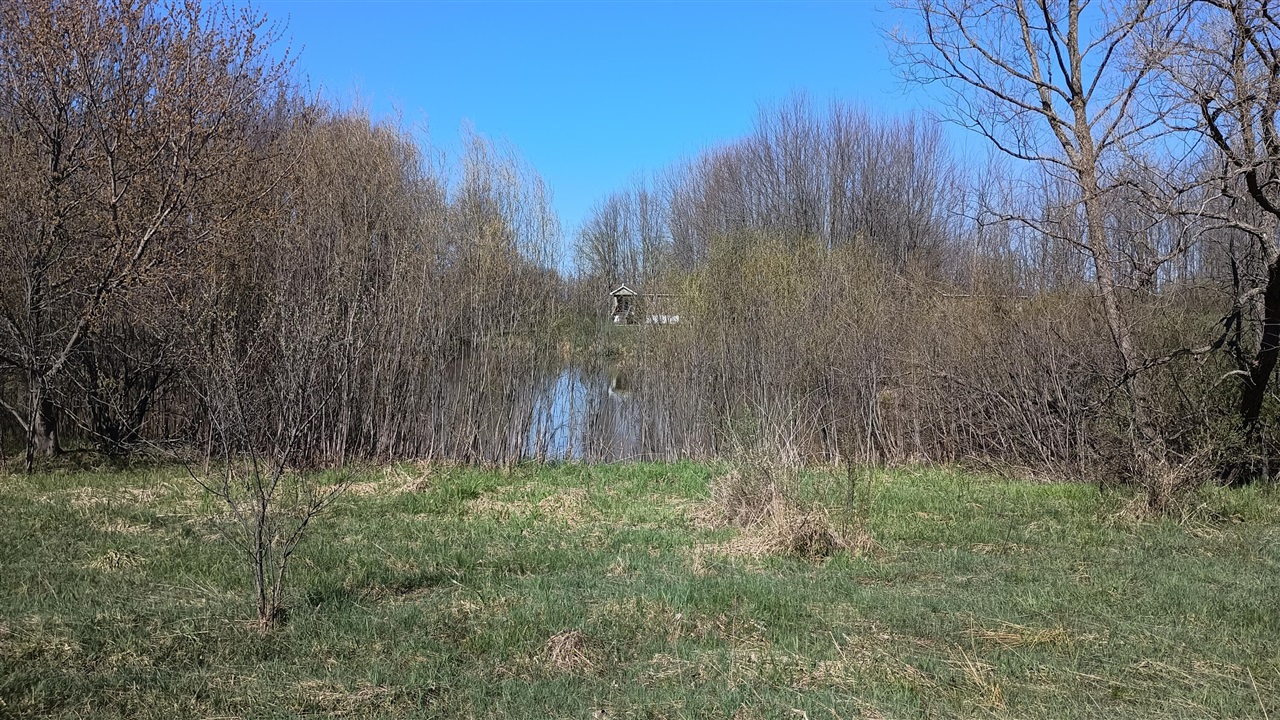 main property photo 71