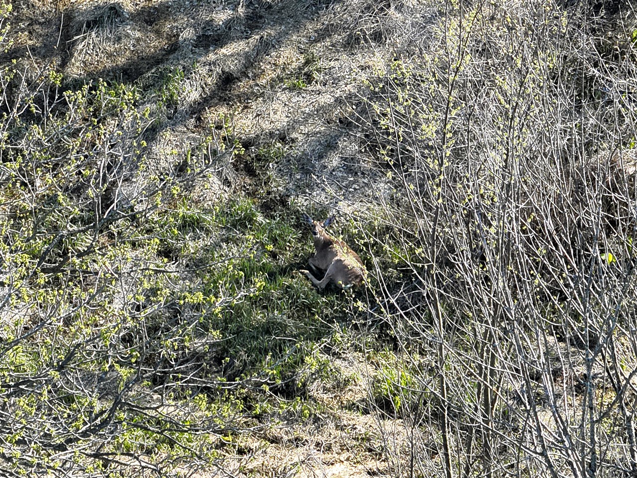 main property photo 38