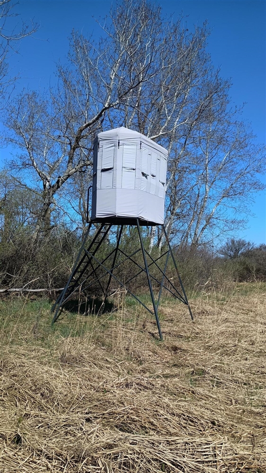 main property photo 38
