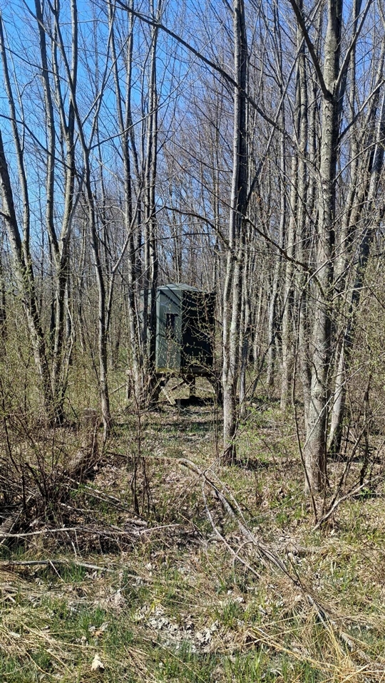 main property photo 40