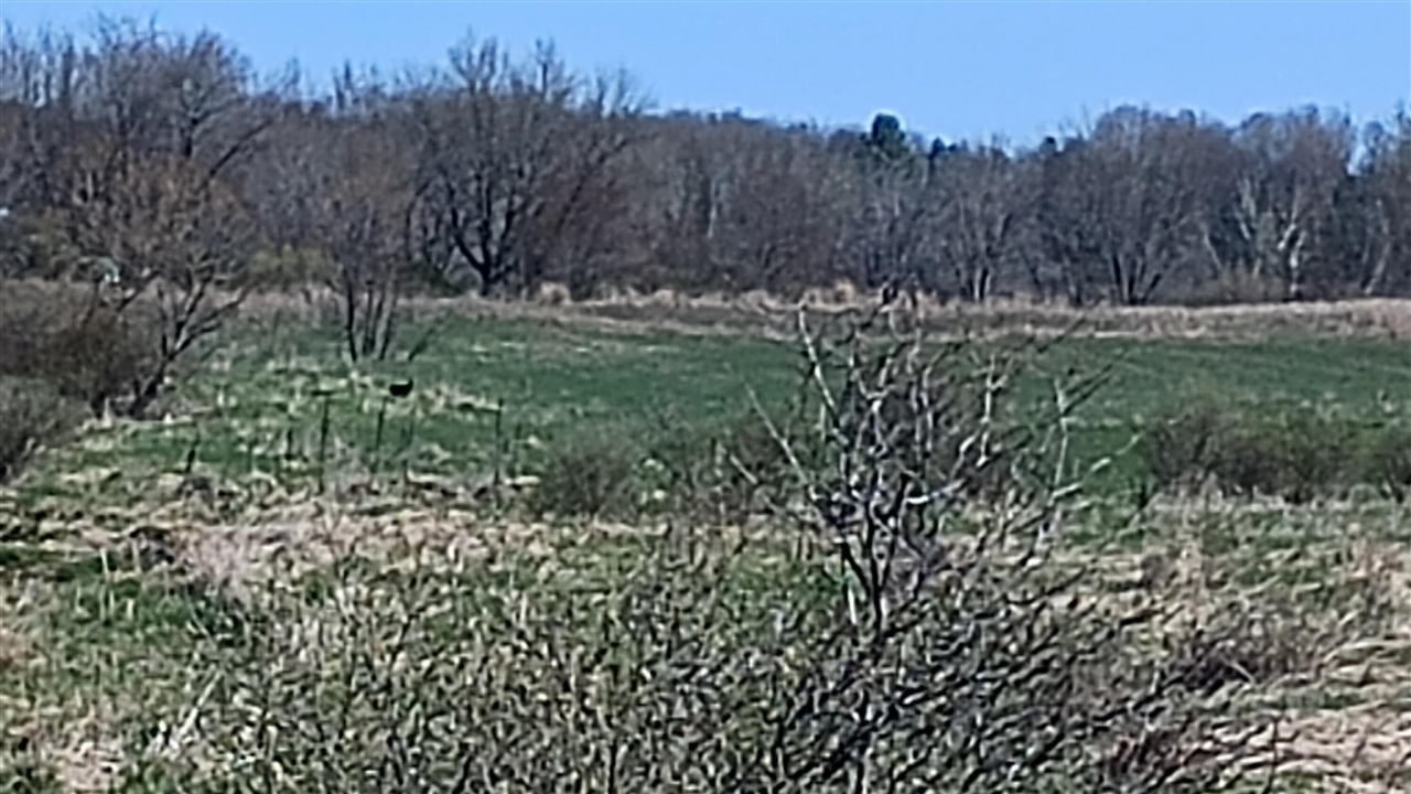 main property photo 55