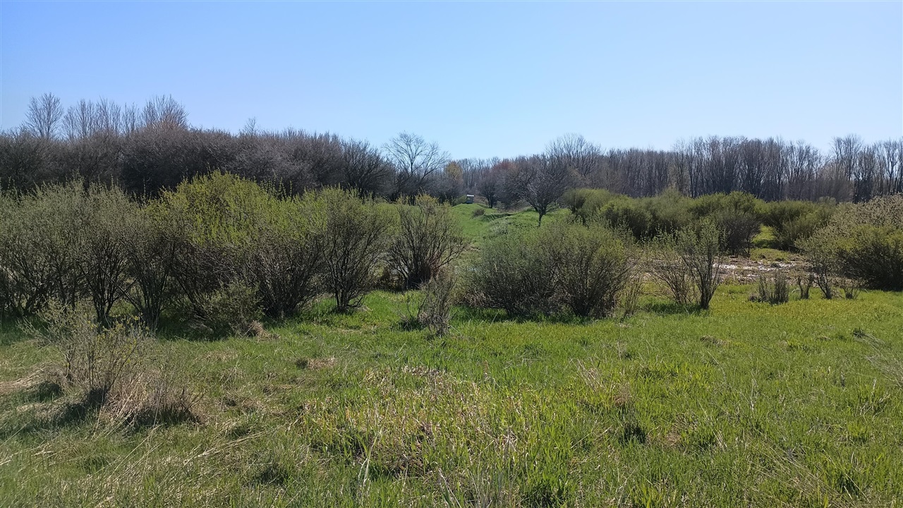 main property photo 59