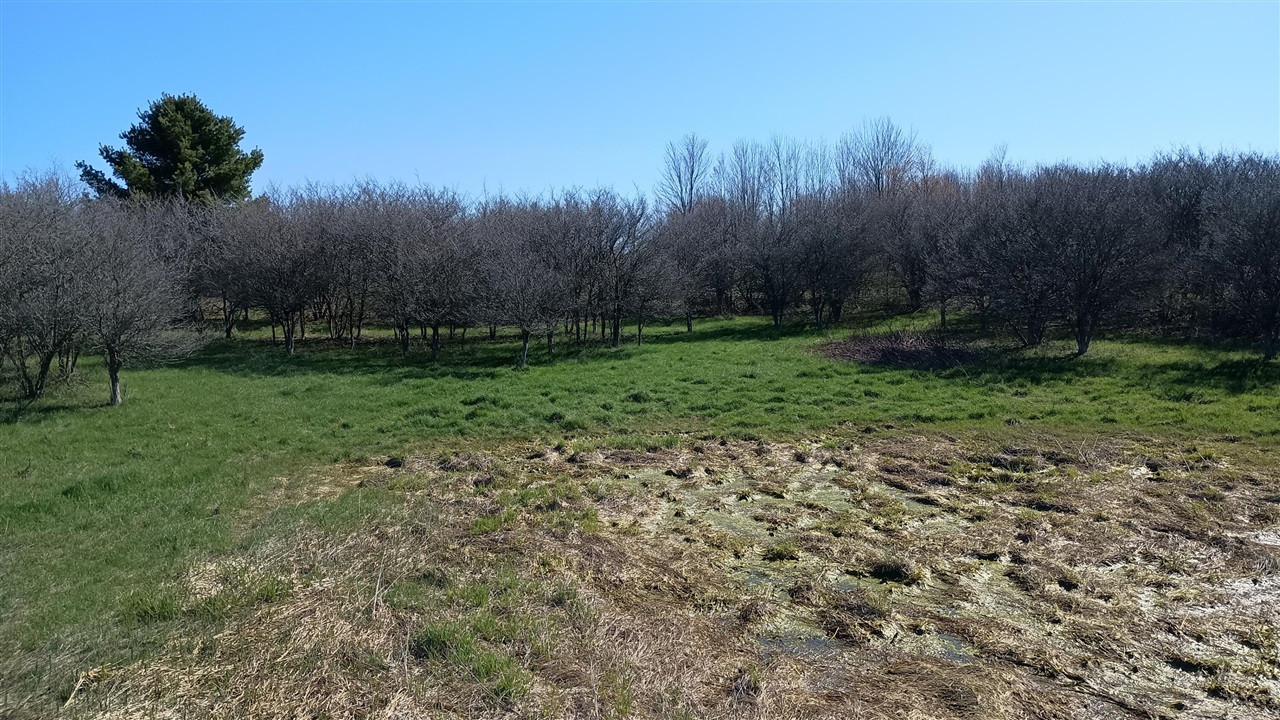 main property photo 62
