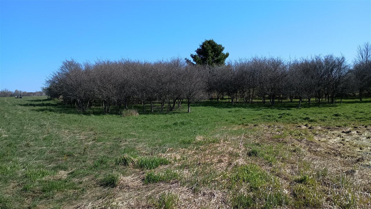 main property photo 63