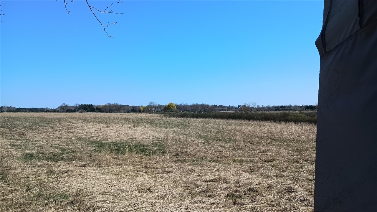 main property photo 67