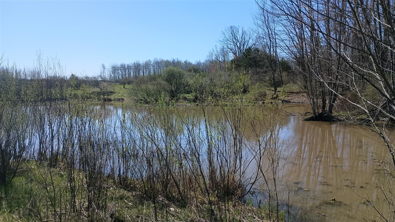 main property photo 68