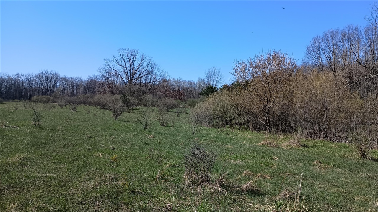 main property photo 70
