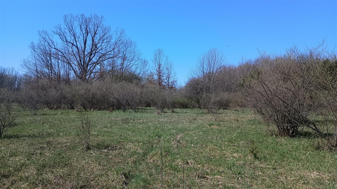 main property photo 72