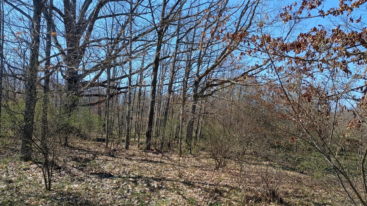 main property photo 73