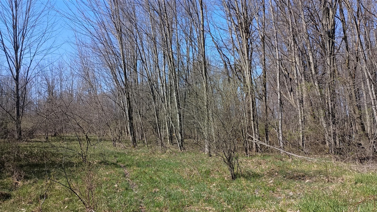 main property photo 74