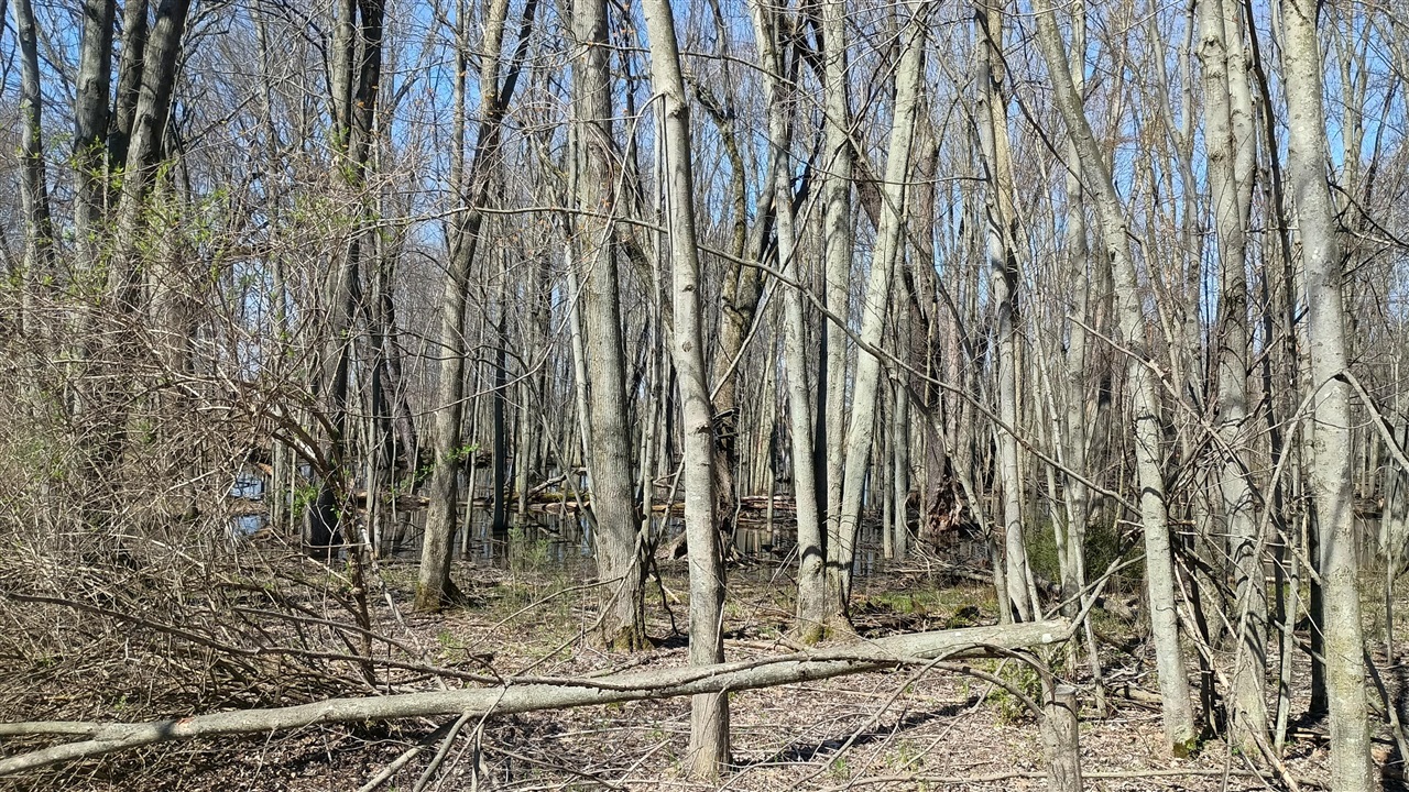 main property photo 75