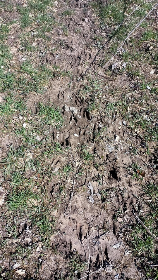 main property photo 76