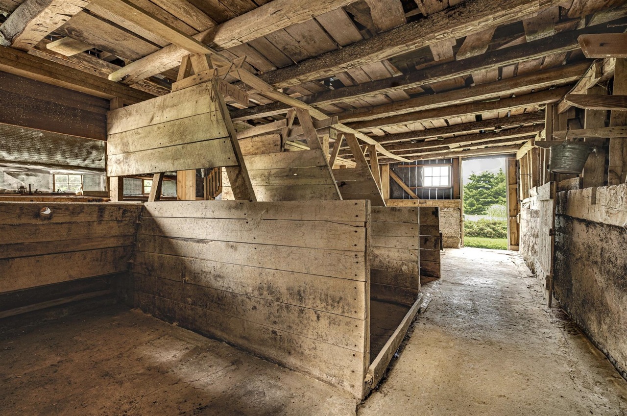 main property photo 58