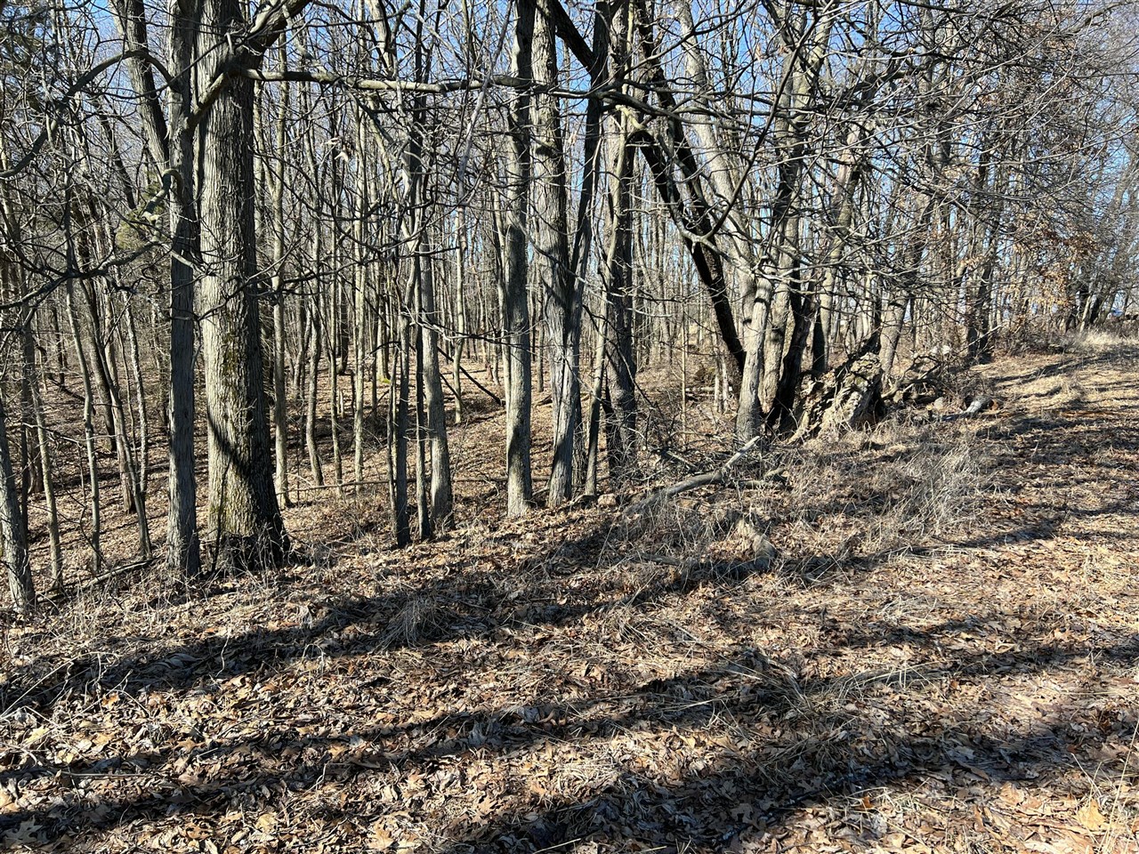 main property photo 11
