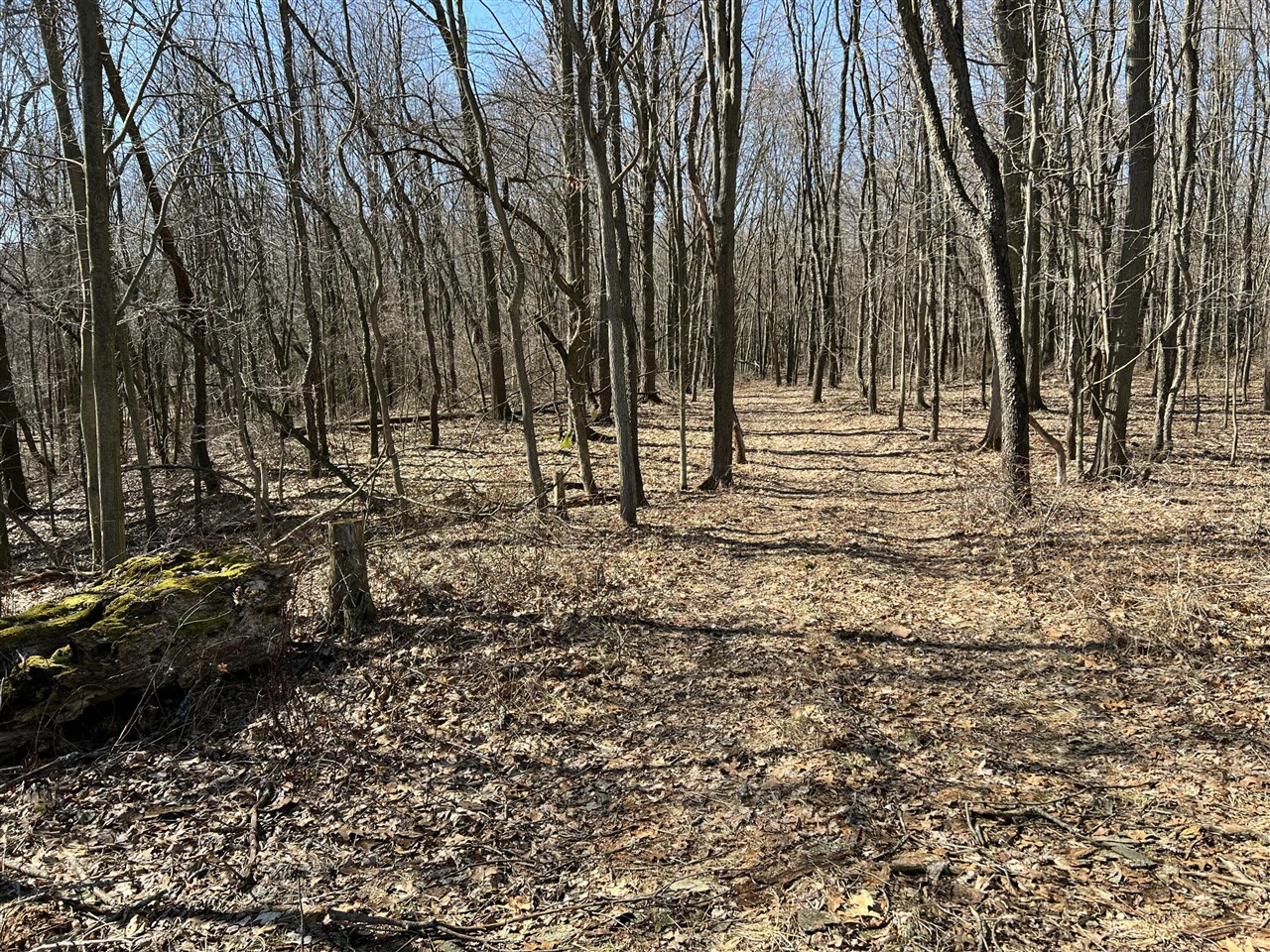 main property photo 12