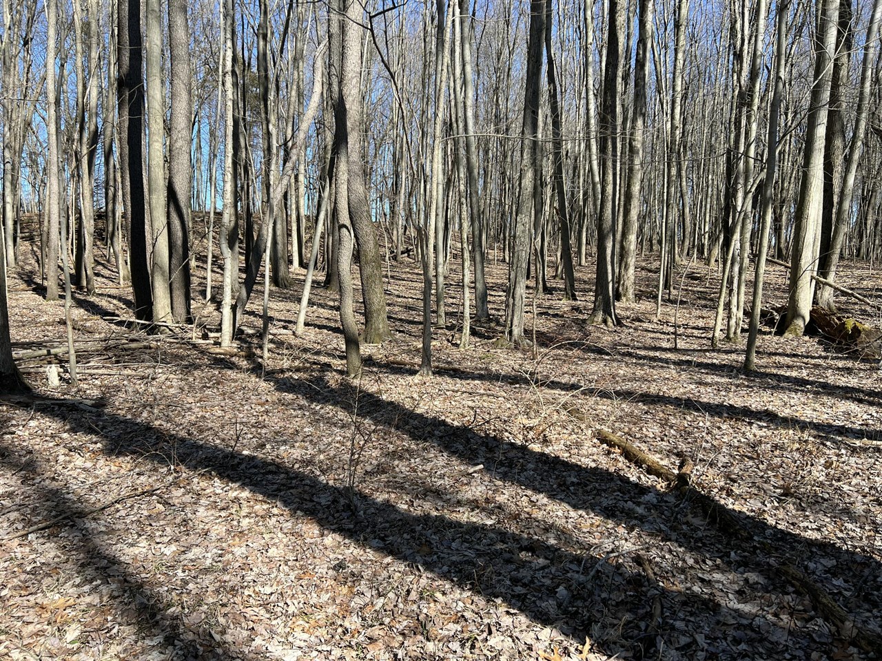 main property photo 23
