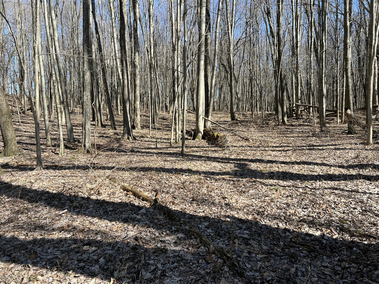 main property photo 24