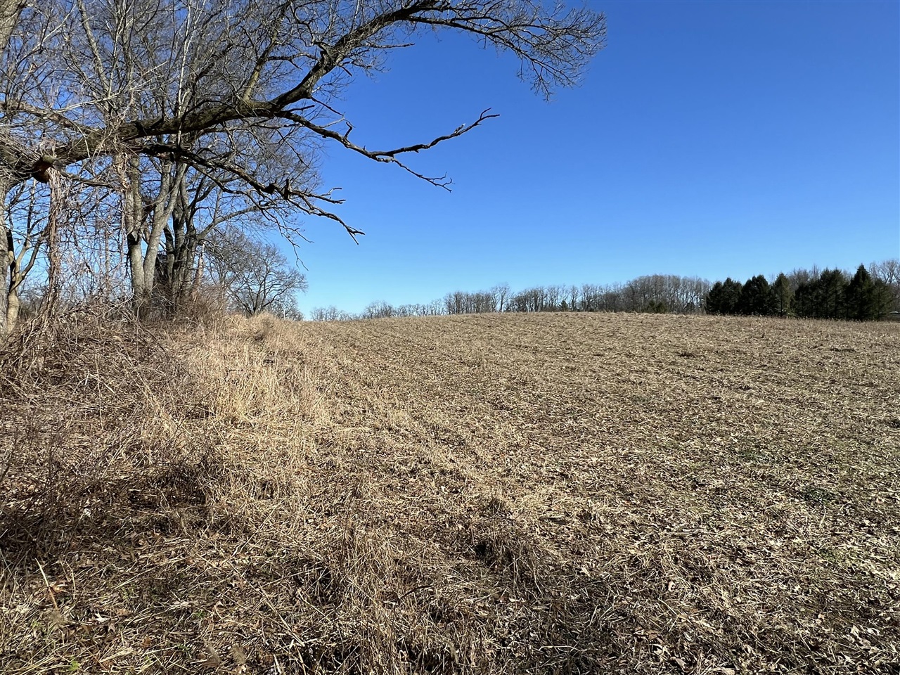 main property photo 40