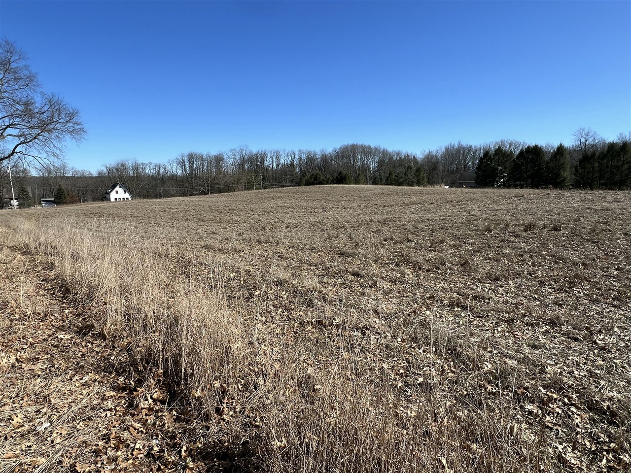 main property photo 42