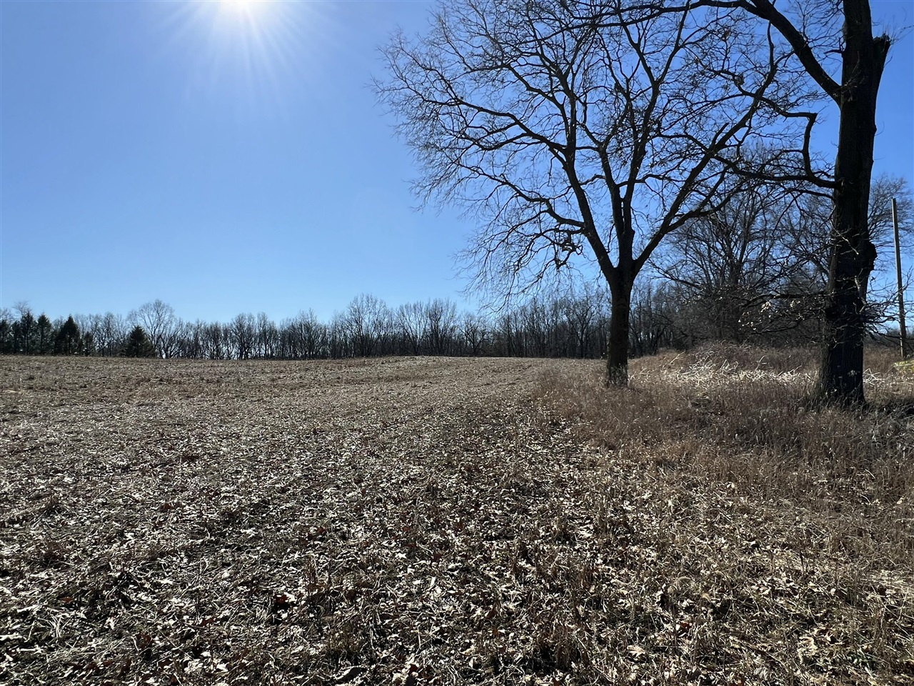 main property photo 44