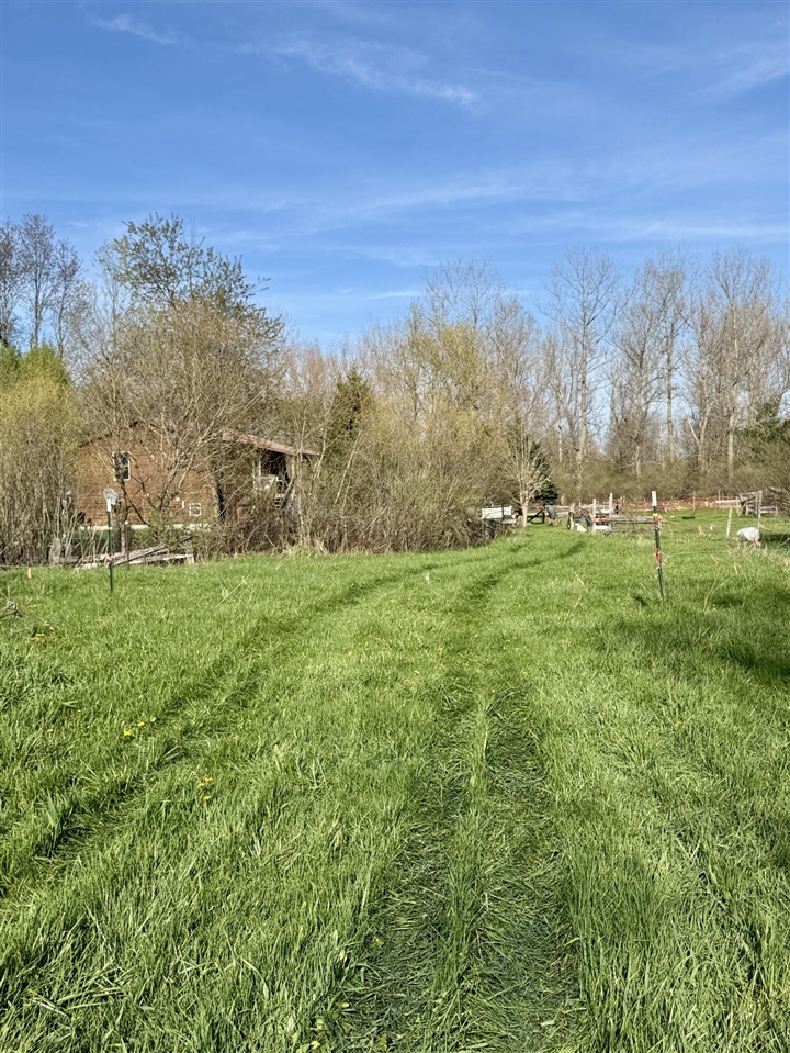 main property photo 45