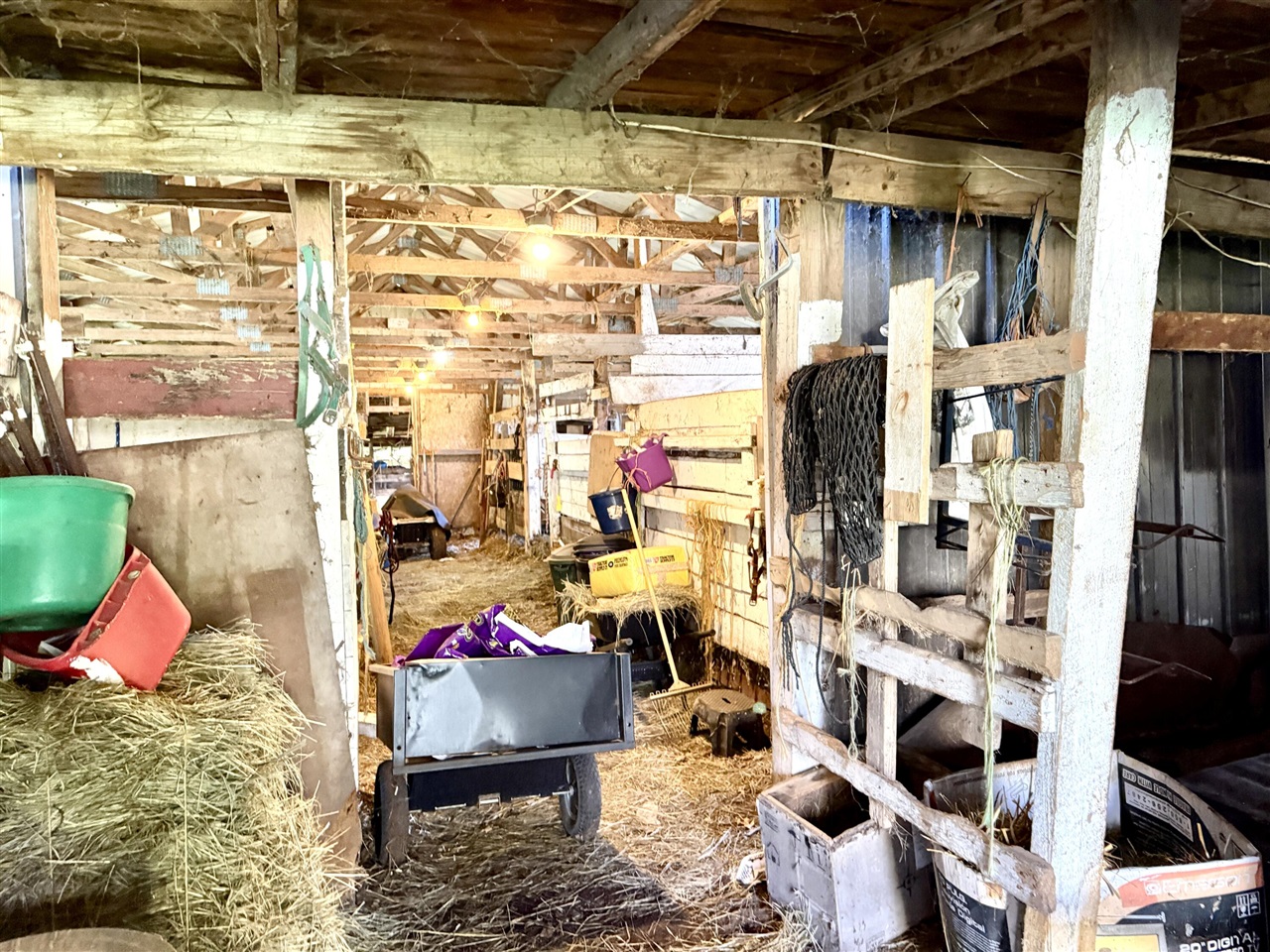 main property photo 59