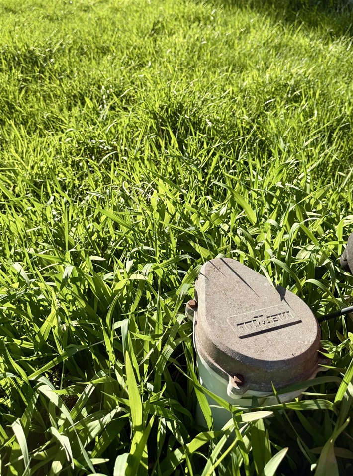 main property photo 68