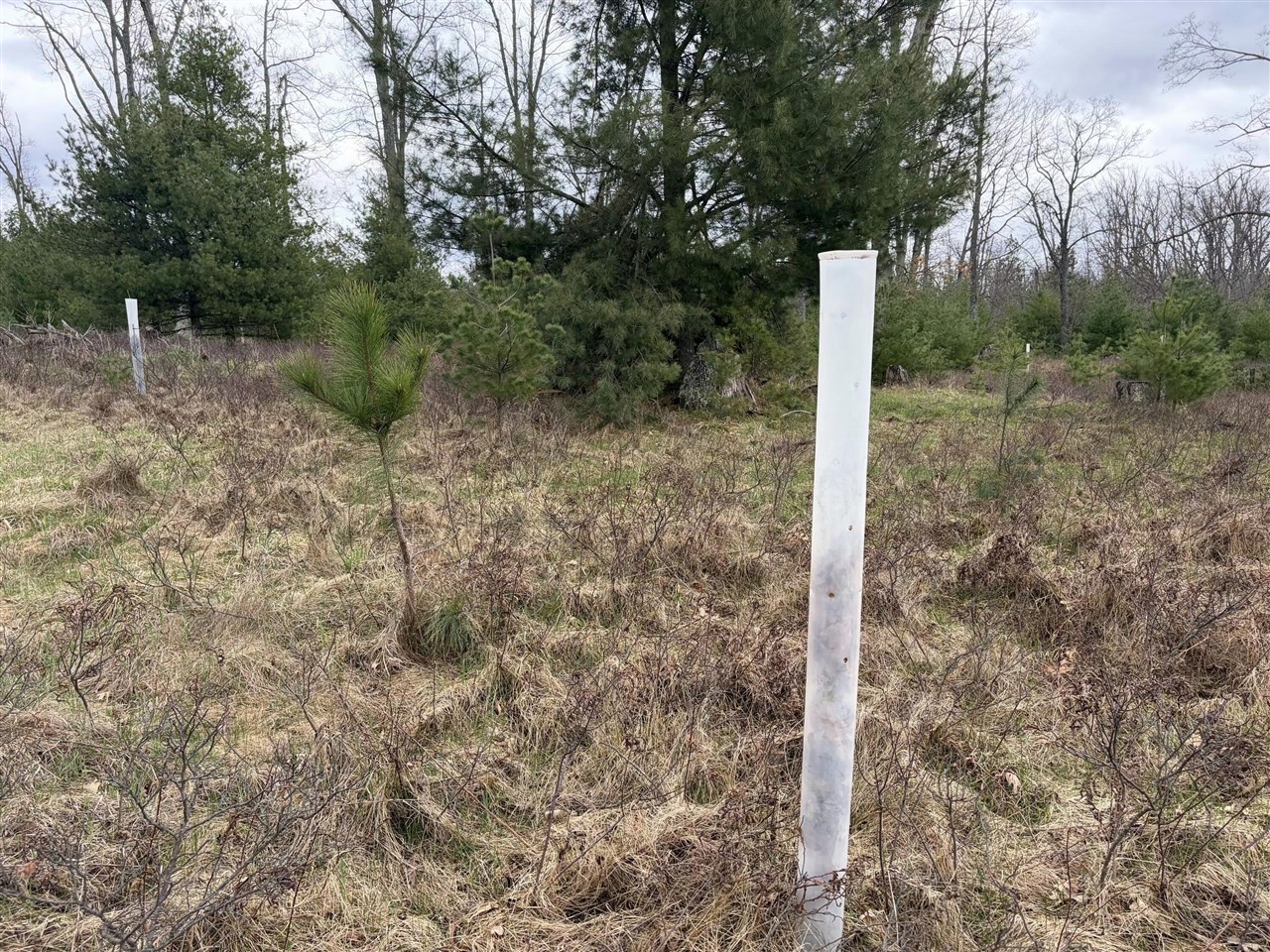 main property photo 86