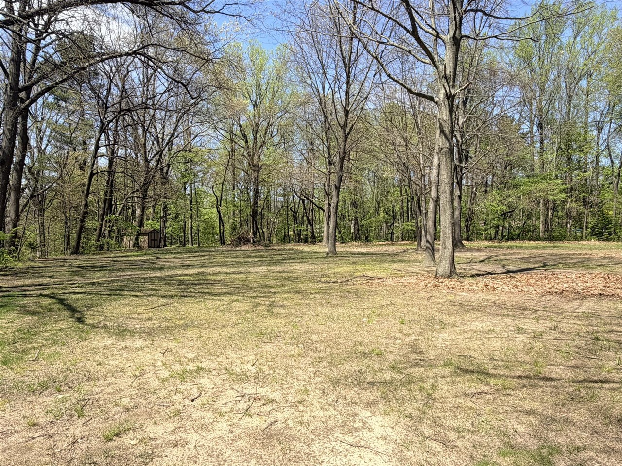 main property photo 8