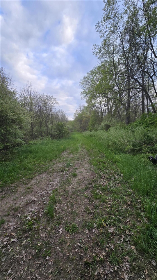 main property photo 11