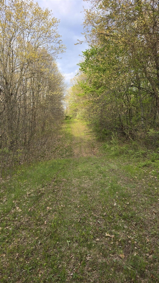 main property photo 19