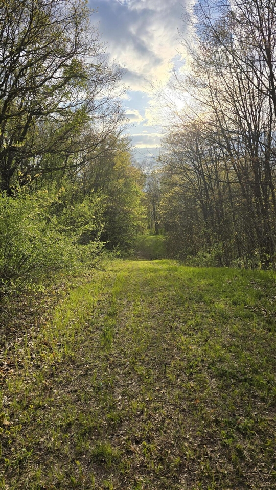 main property photo 20