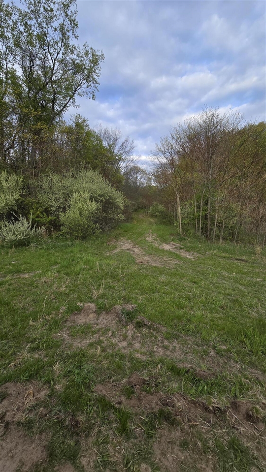 main property photo 29