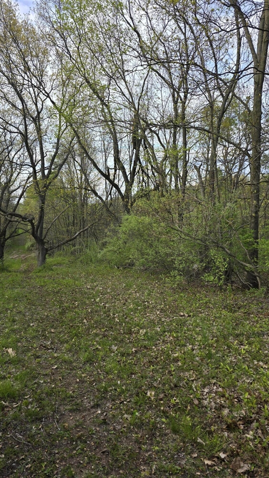 main property photo 32