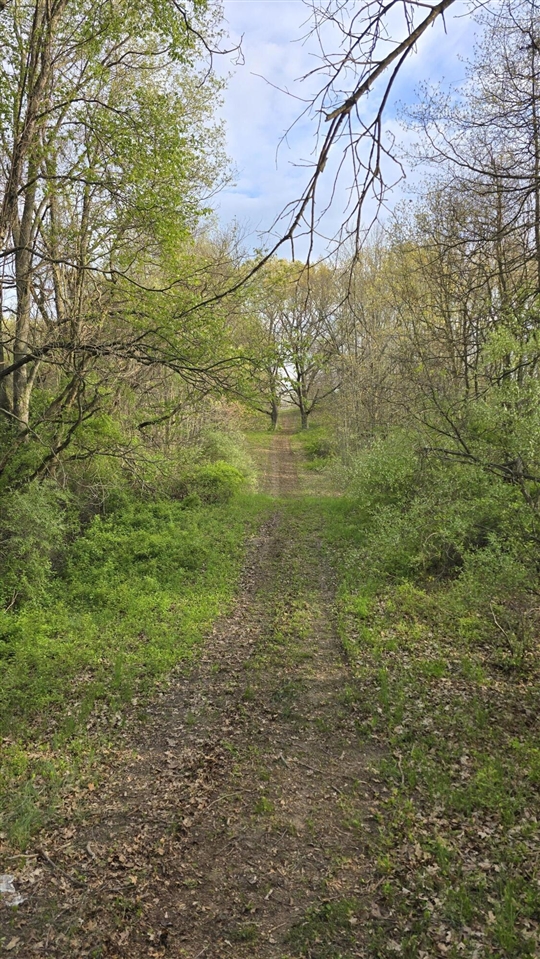 main property photo 33
