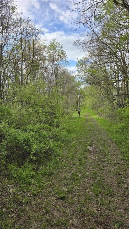 main property photo 37