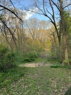 main property photo 45