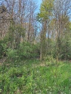 main property photo 53