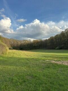 main property photo 61