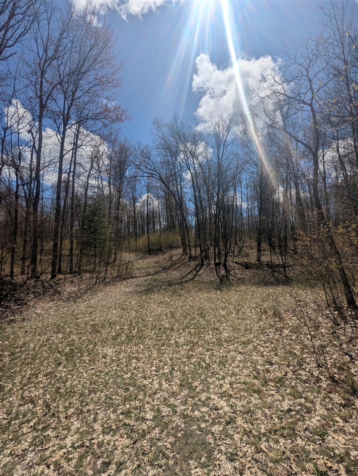 main property photo 44