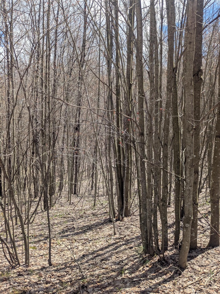 main property photo 49