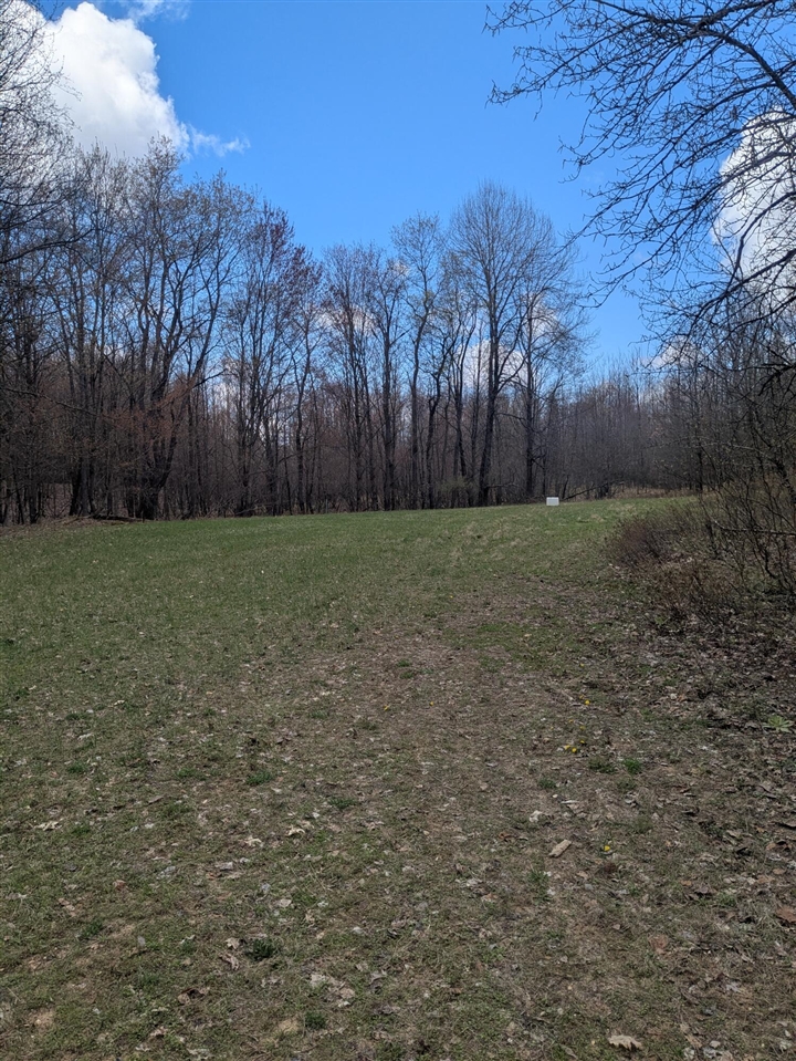 main property photo 54