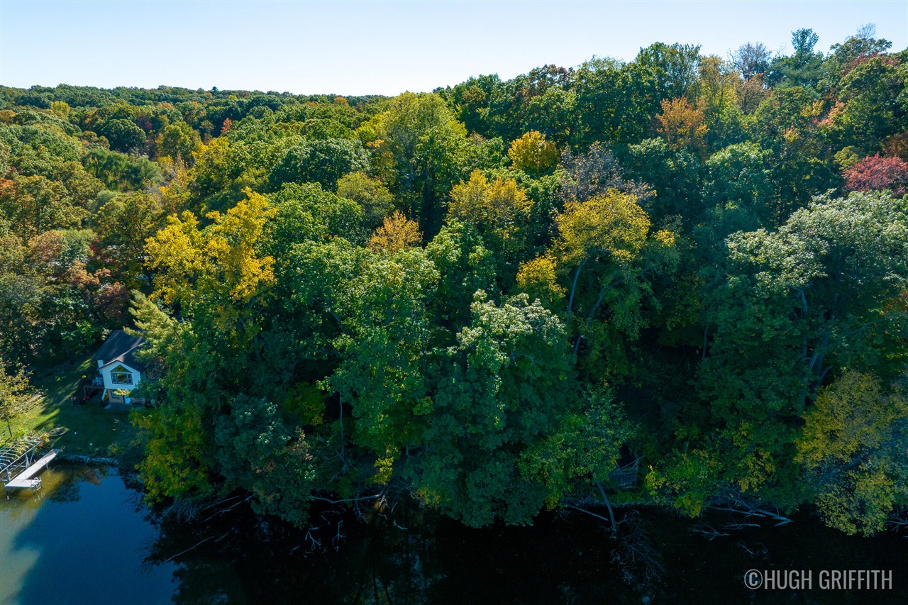 main property photo 40